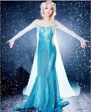 Frozen elsa jurk volwassenen